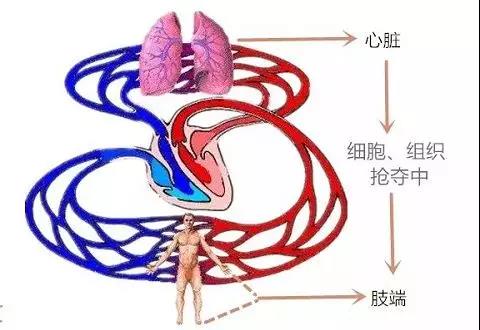 微信图片_20200401152926.jpg